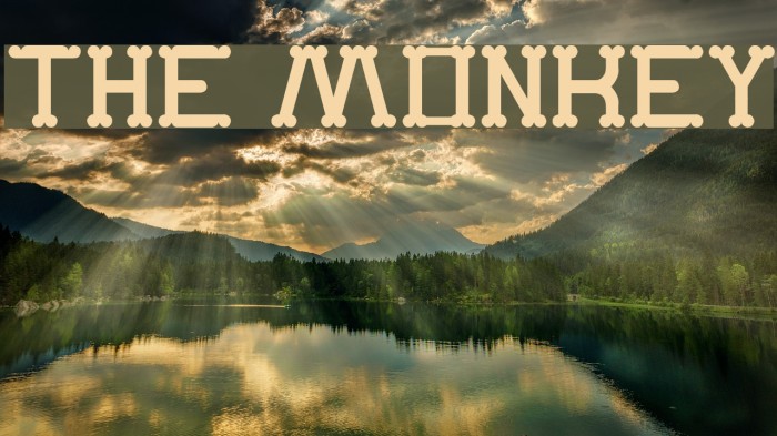 The Monkey Font examples