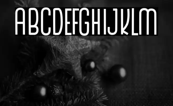 The Monthego Font examples