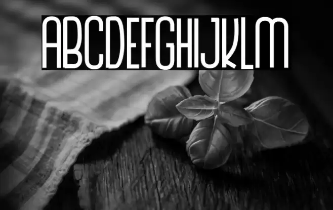 The Monthego Font examples