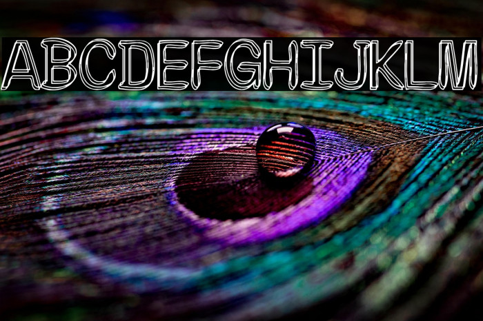 The Moonlight Fraternity Example 1