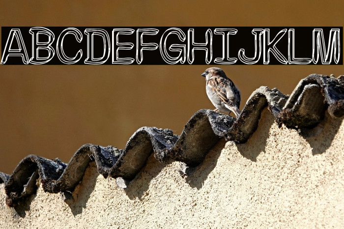 The Moonlight Fraternity Example 2