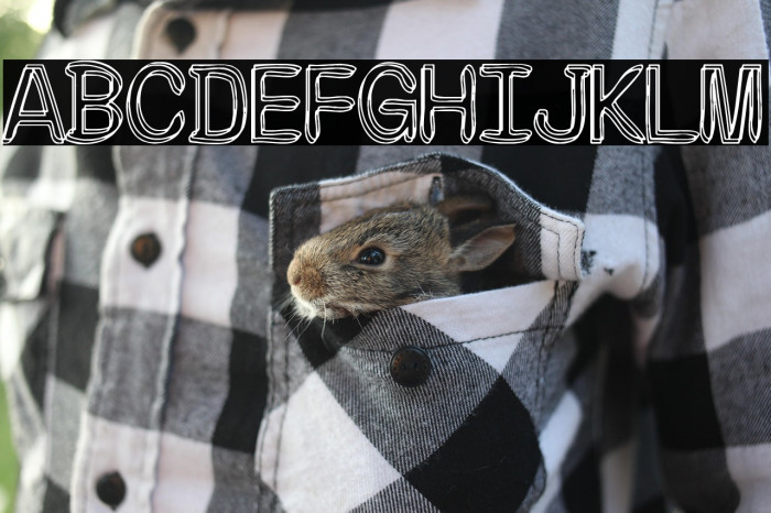 The Moonlight Fraternity Example 3