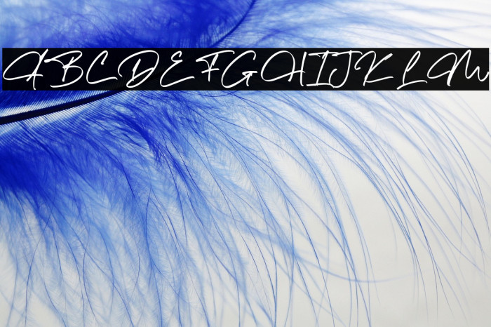 The Morgan Example 2