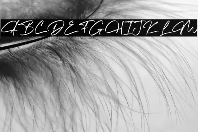 The Morgan Schriftart examples