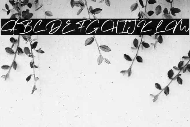 The Morgan Schriftart examples