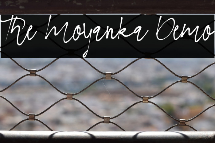 The Moyanka Demo Example 1