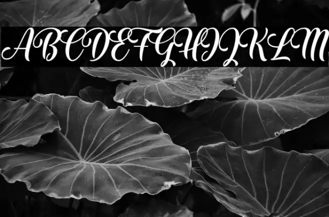 The Mumbai Sticker Demo Regular Font examples