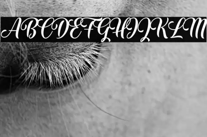 The Mumbai Sticker Demo Regular Font examples