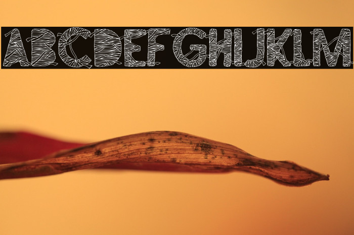 The Mummy R.I.P Example 1