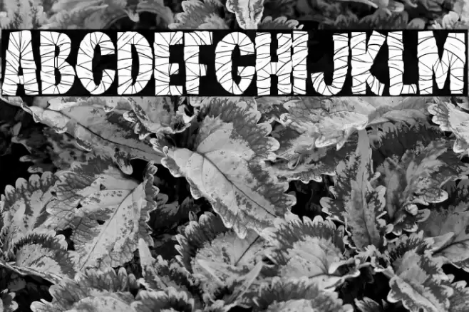 The Mummy Font examples