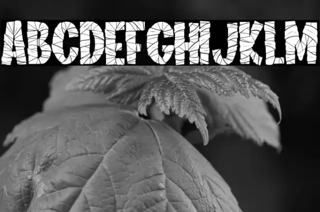 The Mummy Font examples