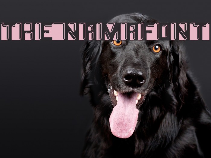 The Namafont Font examples