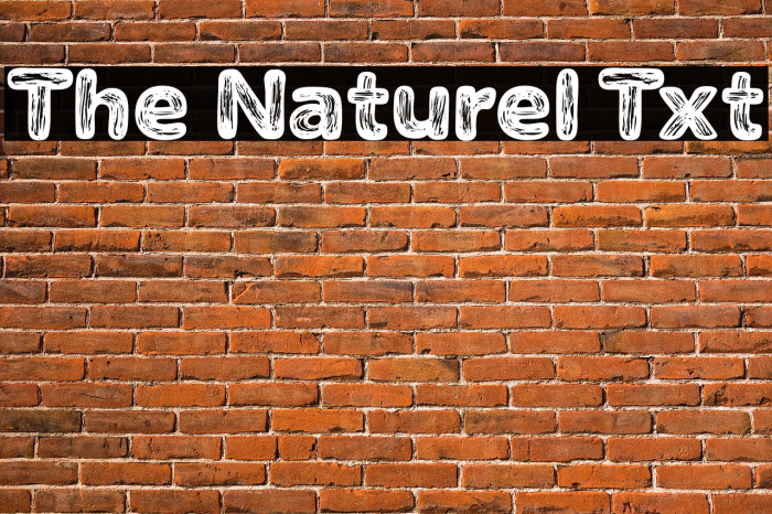 The Naturel Txt Font examples