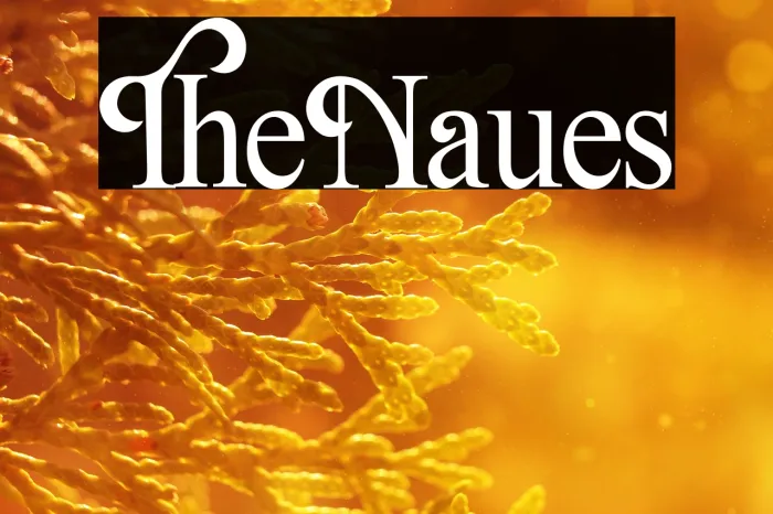 The Natures Example 1
