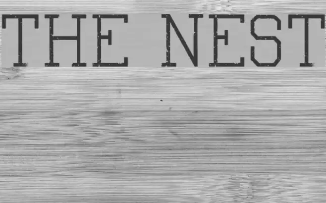 The Nest Font examples