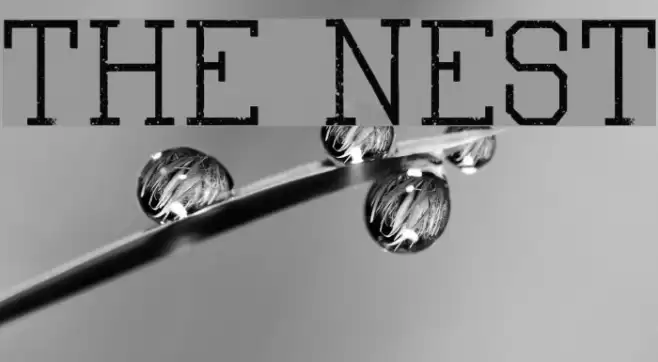 The Nest Font examples