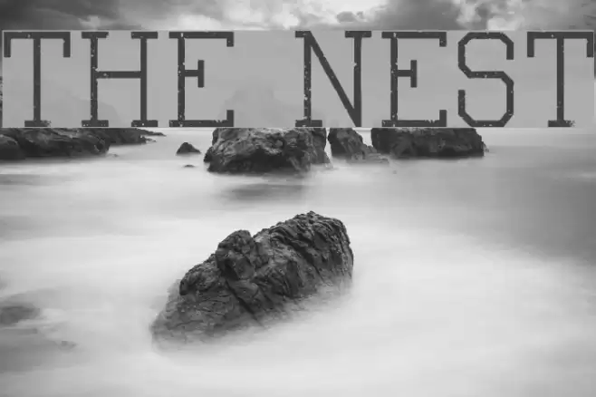 The Nest Font examples