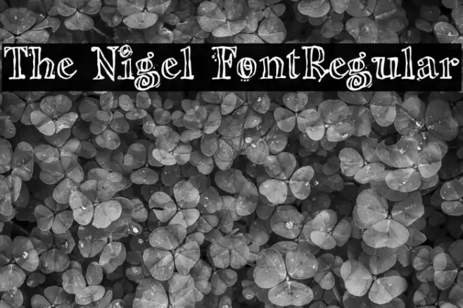 The Nigel FontRegular Font examples