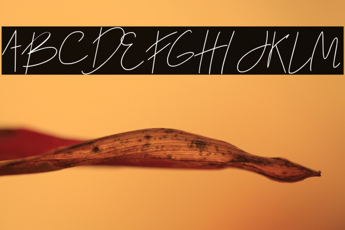 The Night Began Example 2