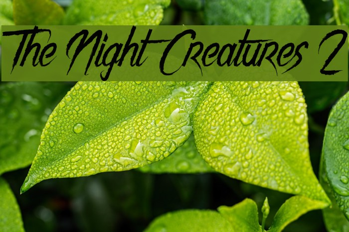 The Night Creatures 2 Example 3