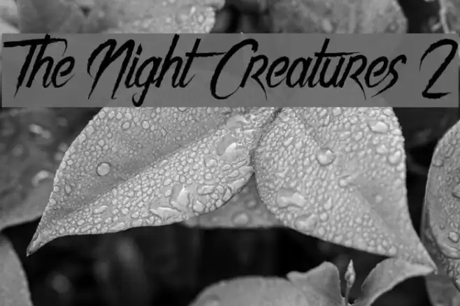 The Night Creatures 2 Font examples