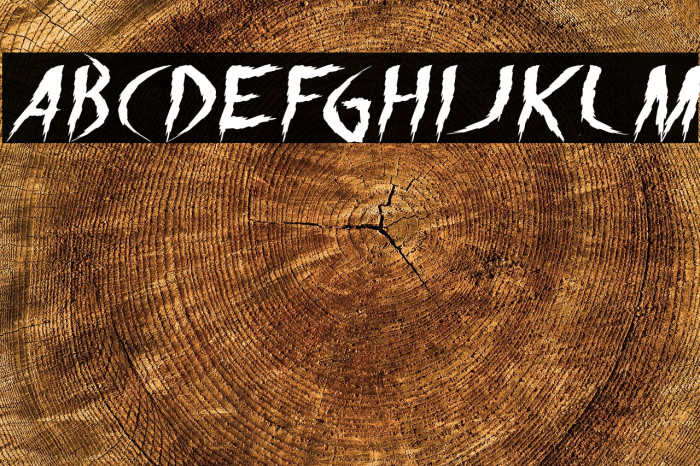 The Night Italic Example 1