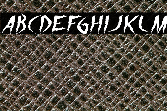 The Night Italic Example 2