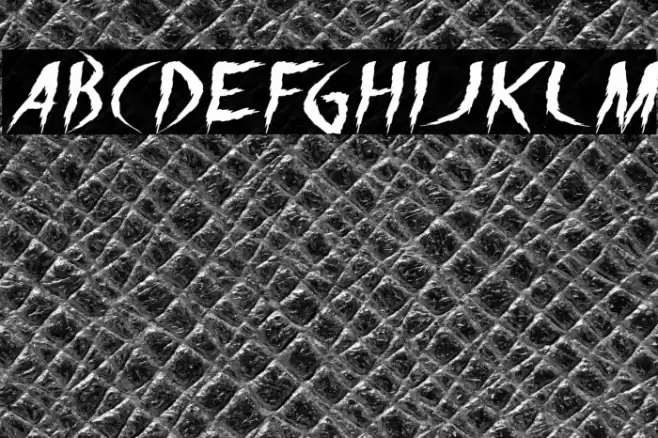 The Night Italic Font examples