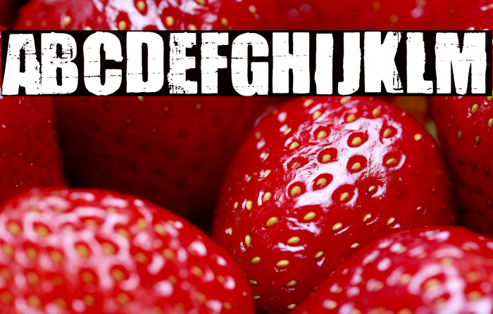 The Night Of The Hunter Example 2