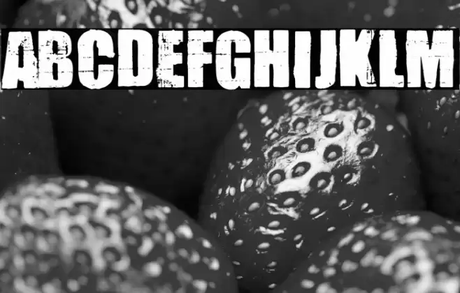 The Night Of The Hunter Font examples