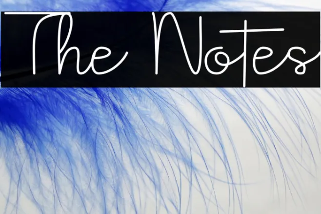 The Notes Example 3