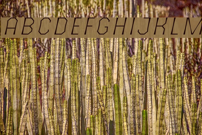 The October Two Light Italic Example 1