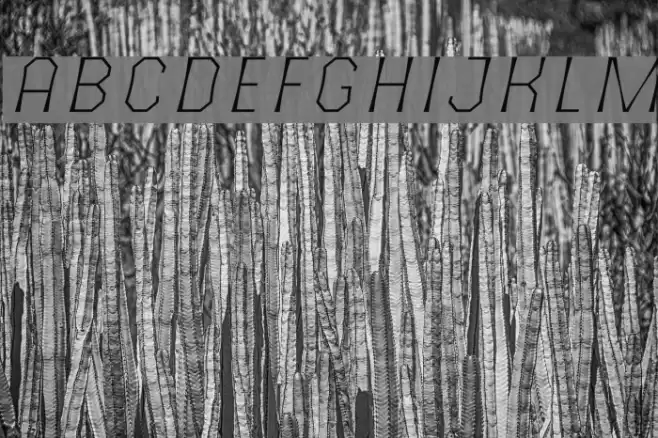 The October Two Light Italic Font examples