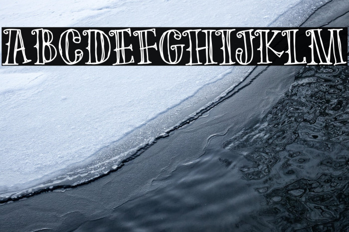 The Old Forest Outline Example 1