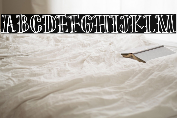 The Old Forest Outline Example 3