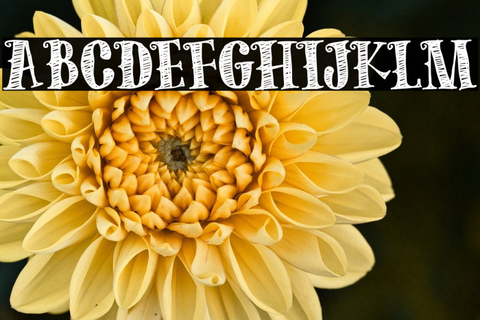 The Old Forest Example 1