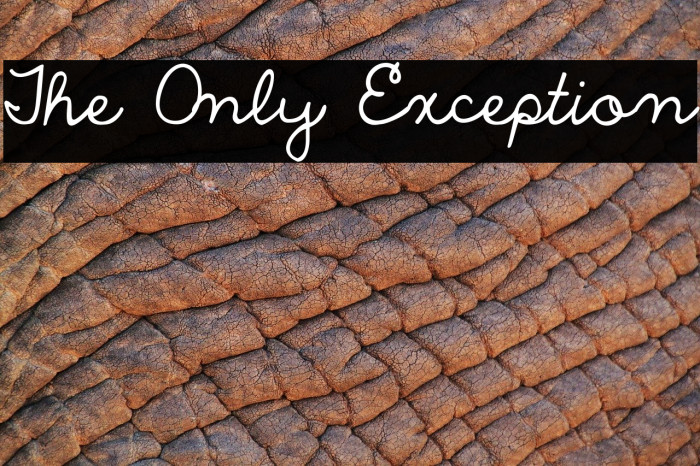 The Only Exception Font examples