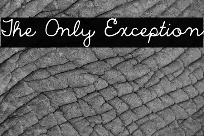 The Only Exception Fuentes examples