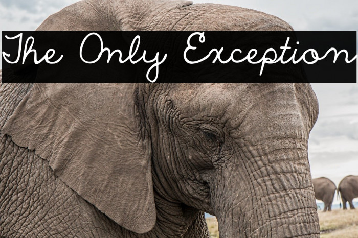 The Only Exception Font examples