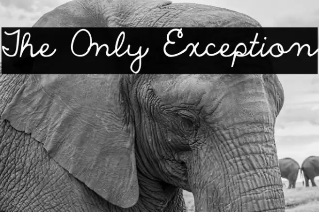 The Only Exception Fuentes examples