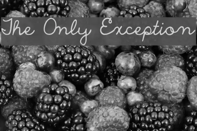 The Only Exception Font examples