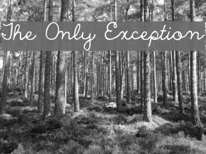 The Only Exception Font examples