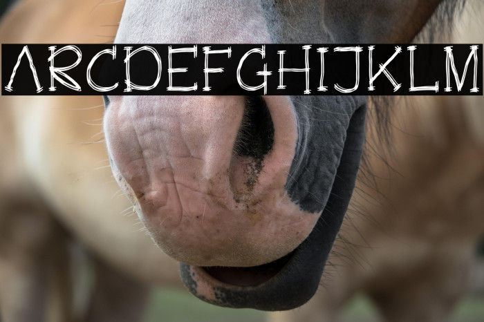 The Oracle Example 1