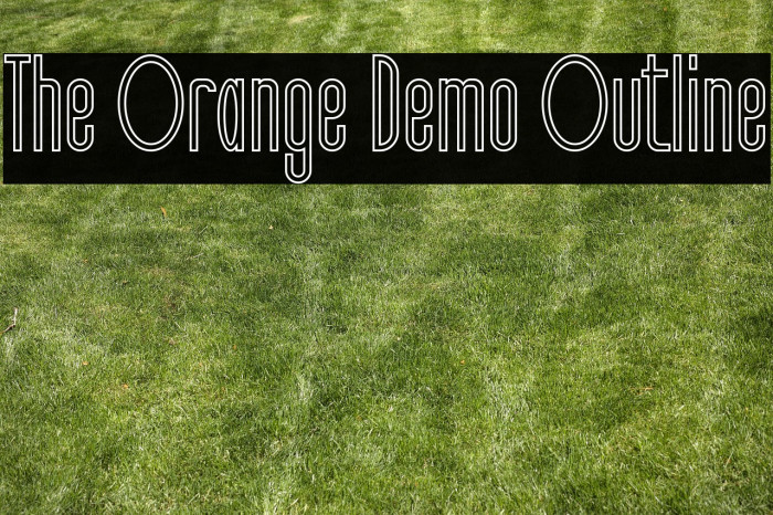 The Orange Demo Outline Example 2