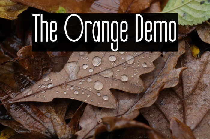 The Orange Demo Example 3