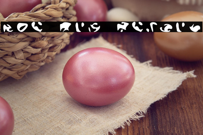 The Orb Report Example 1