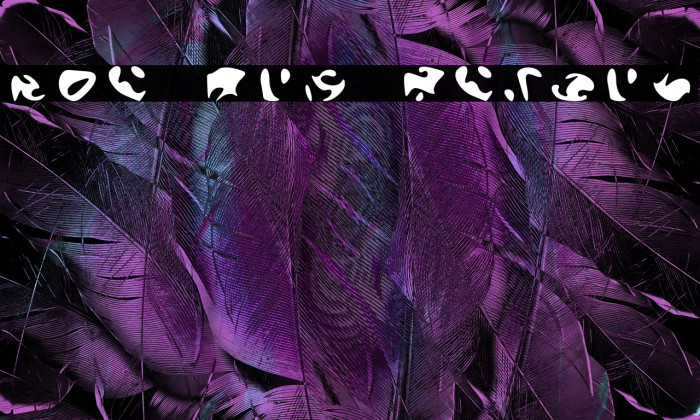 The Orb Report Example 2