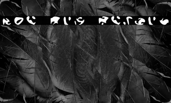 The Orb Report Font examples