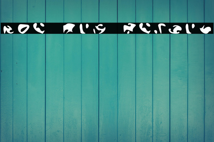 The Orb Report Example 3