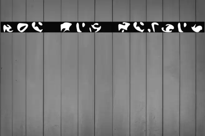 The Orb Report Font examples